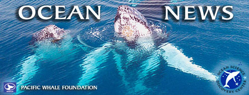 Ocean News Header image